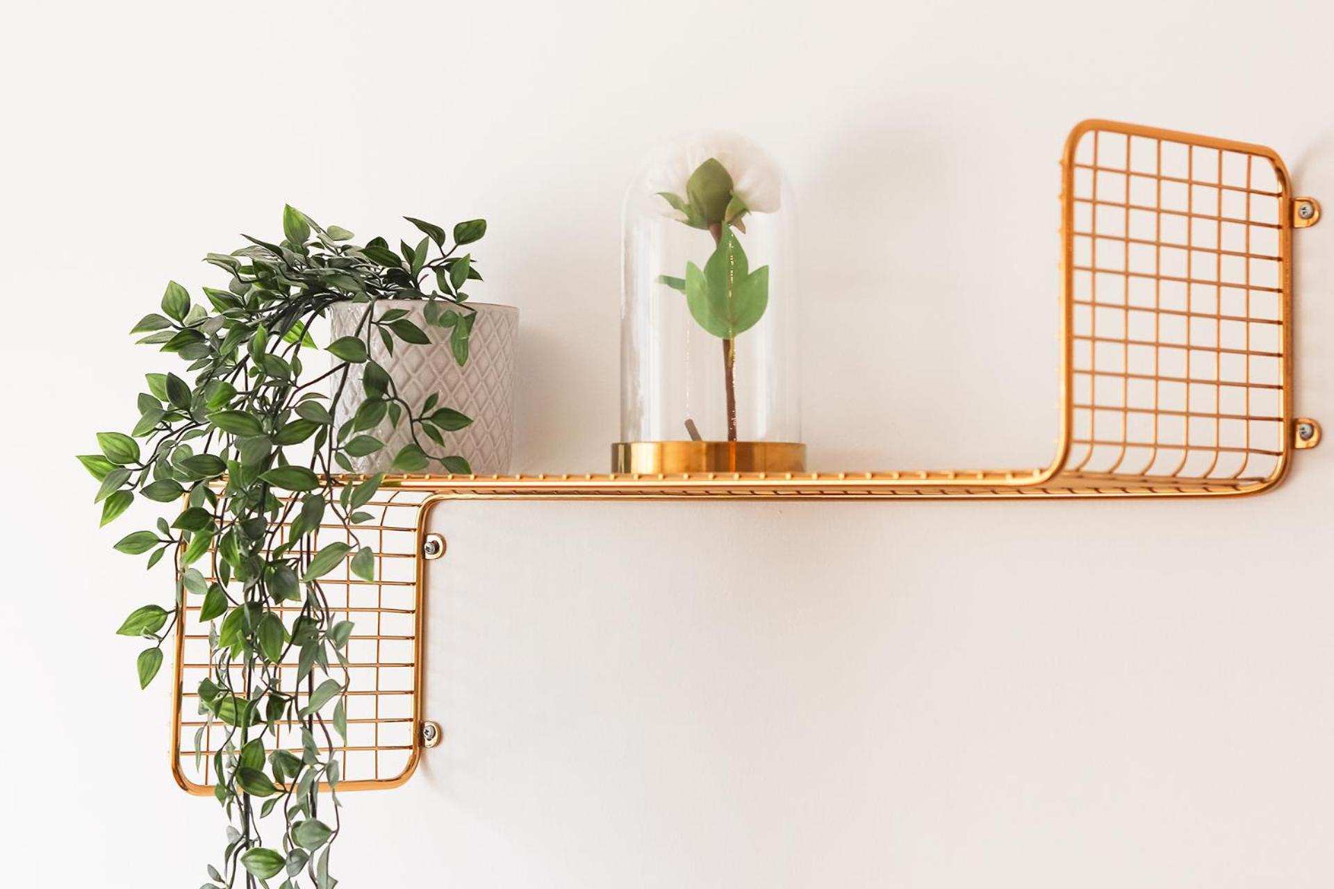 Laranjeiras Design By Homing Apartment Lisboa Екстериор снимка